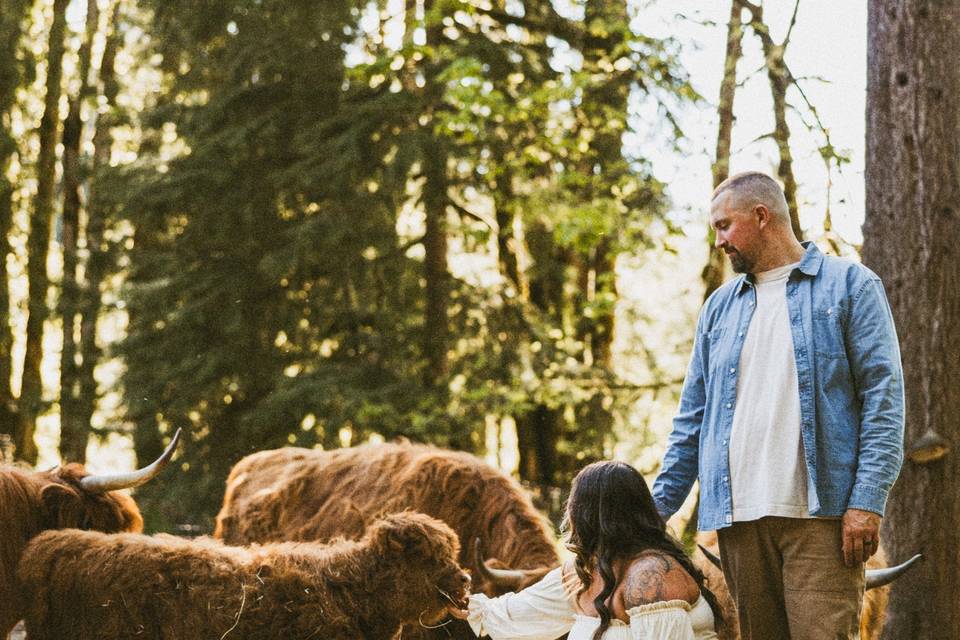 Highland Farms Oregon