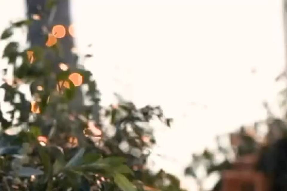 Peter Styling