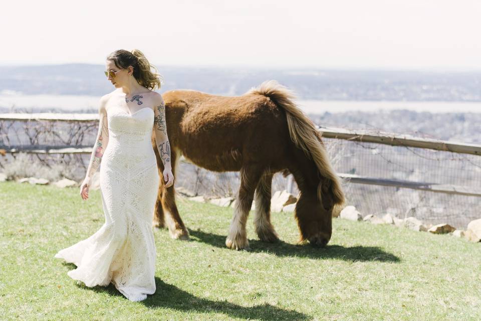 Bridal shoot