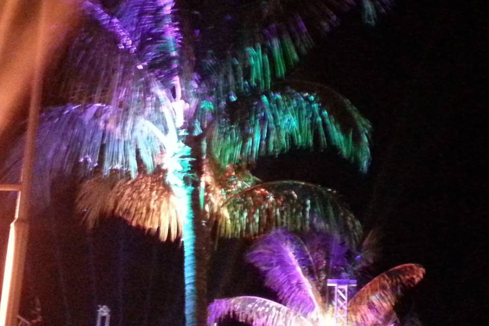PSAV - Captiva/Sanibel