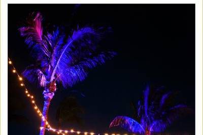 PSAV - Captiva/Sanibel