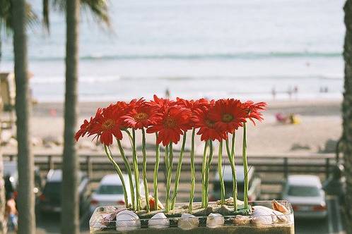 Sand and sea shells for this beach wedding.