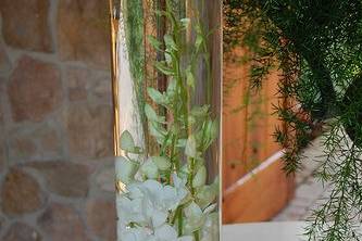 Submerged white dendrobium orchids