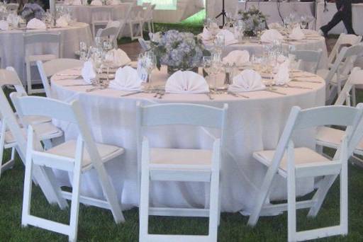 Table set-up with centerpiece