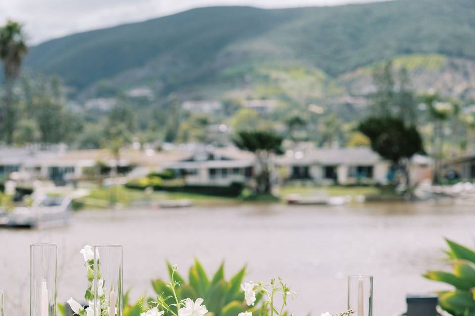 Mirelle Carmichael Photography