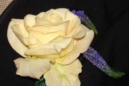Wedded Blooms