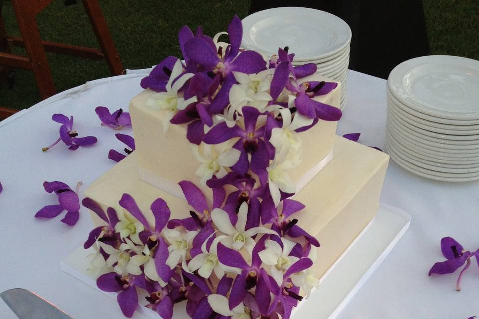 Cake Fanatics in Maui