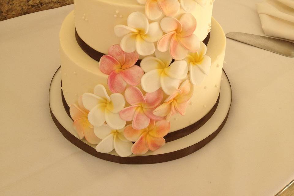 Cake Fanatics in Maui