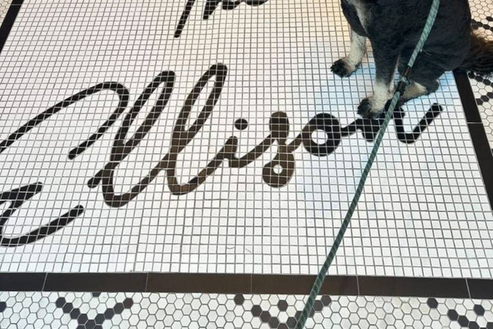 The Ellison Hotel - Pet Friend