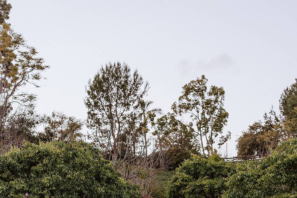 Hold my hand fprever