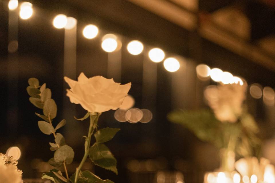 Dinner Reception