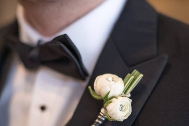 Johanna Terry Events