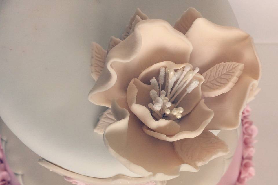 Wedding cake with soft pink bottom