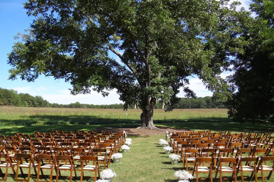 Outdoor Chairs