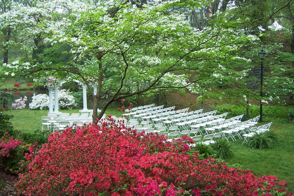 Outdoor Chairs