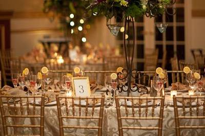 Long table setting