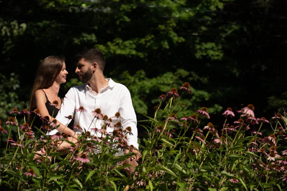 Engagement at Keuka