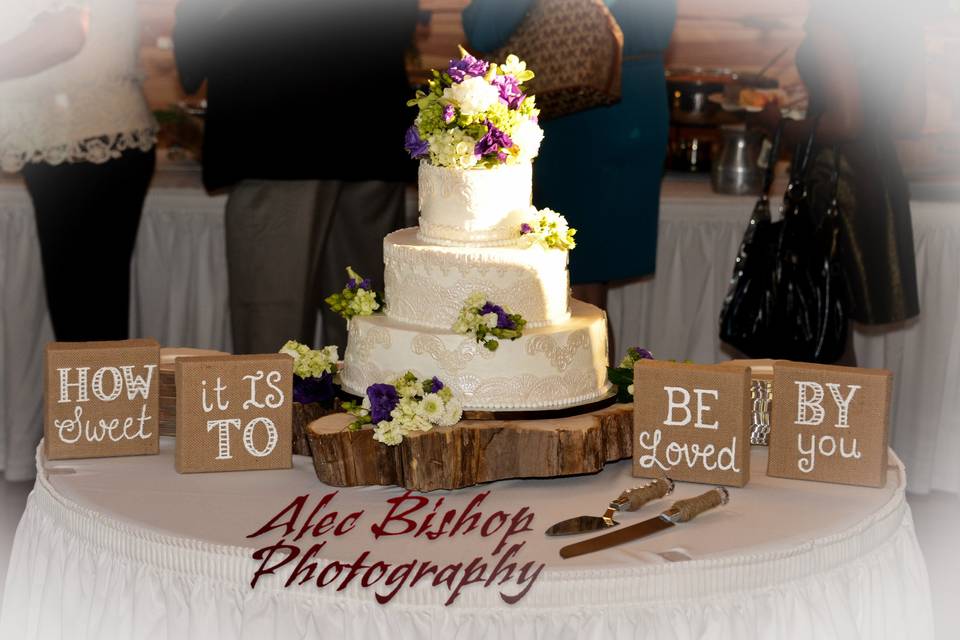 Alec Bishop Photography