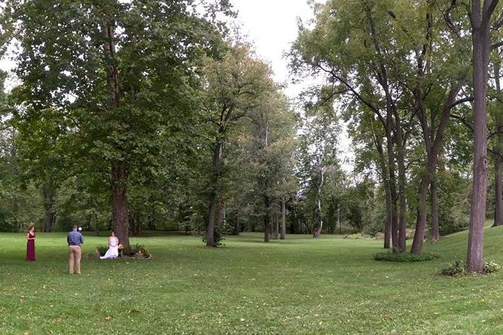 Panoramic view of the field.