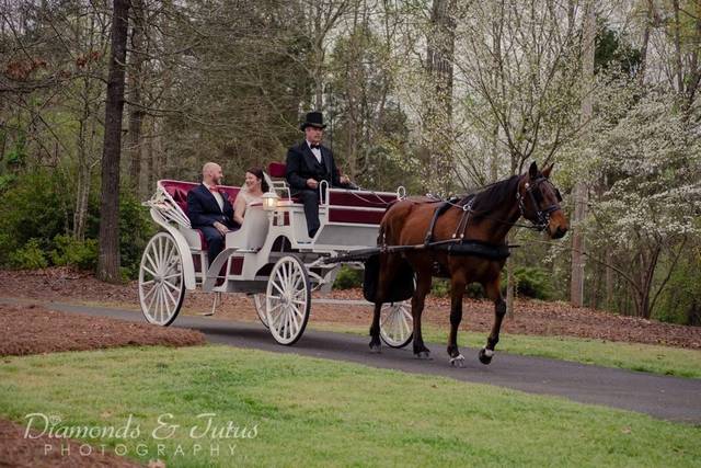 Diamonds & Tutus Photography