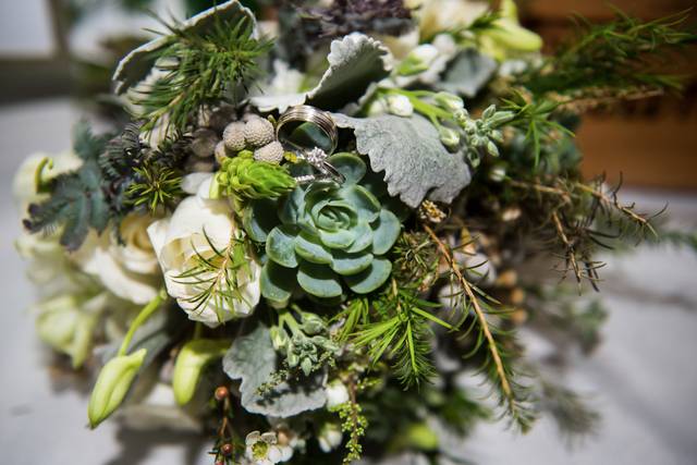 Tara Cook Photography