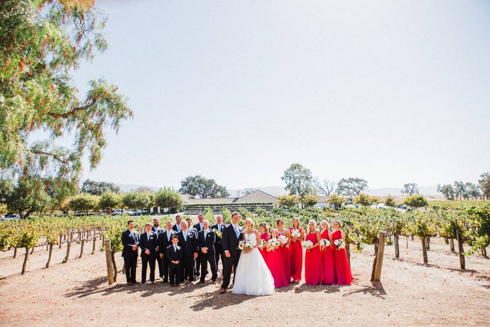 Bridal party in vineyard