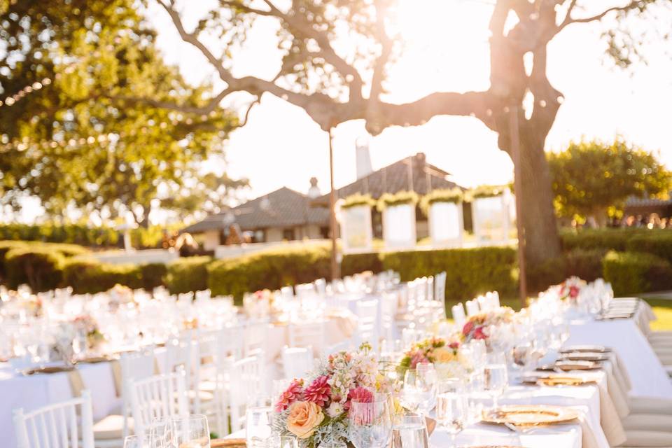 Vineyard View Lawn reception