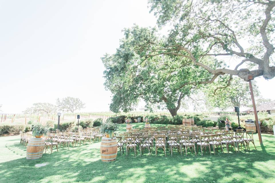 Ceremony chairs arranged