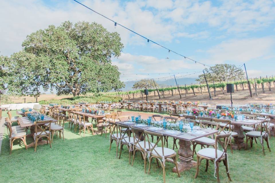 Reception spaces outdoors