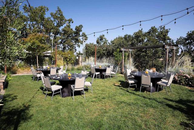 Outdoor Lawn Event