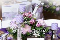 J Lewis Events and Linens