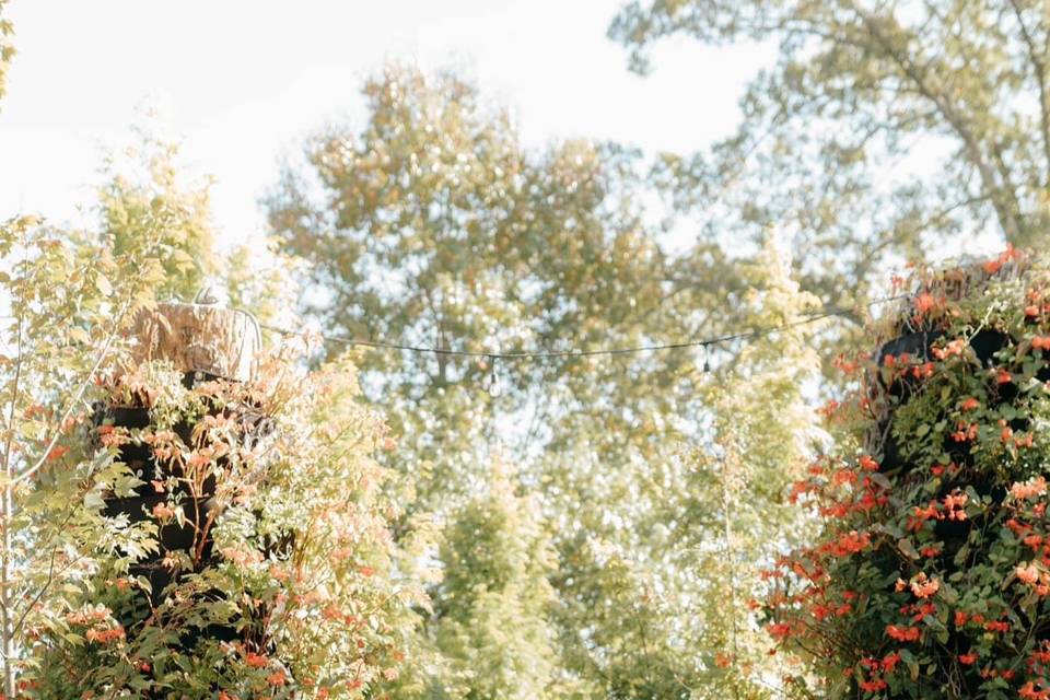 Oak Hill Gardens