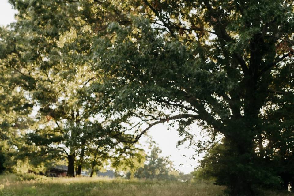 JD Photography