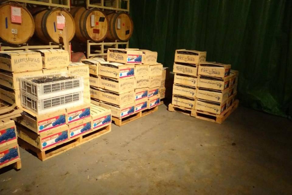 The Wine Press