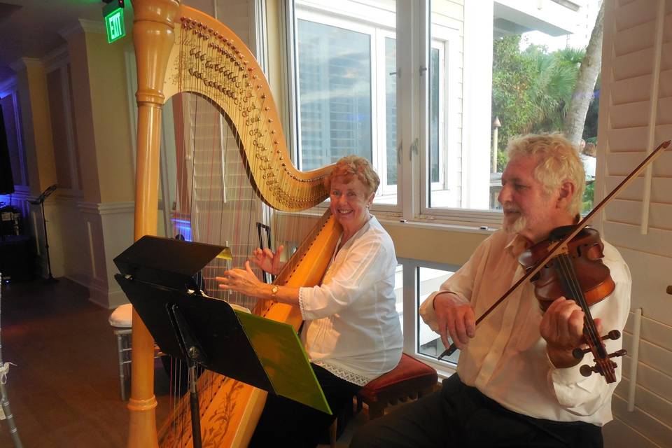 Kraichy and Erickson Harp and Violin