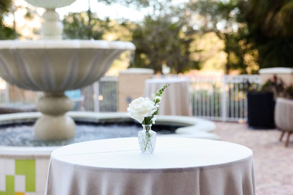 Terrace Cocktail hour
