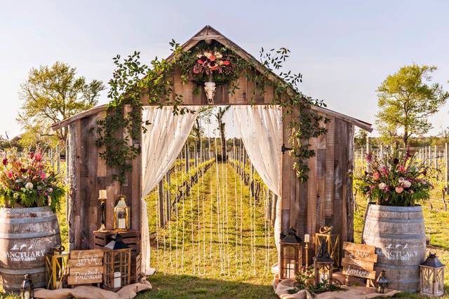 Sanctuary Vineyards