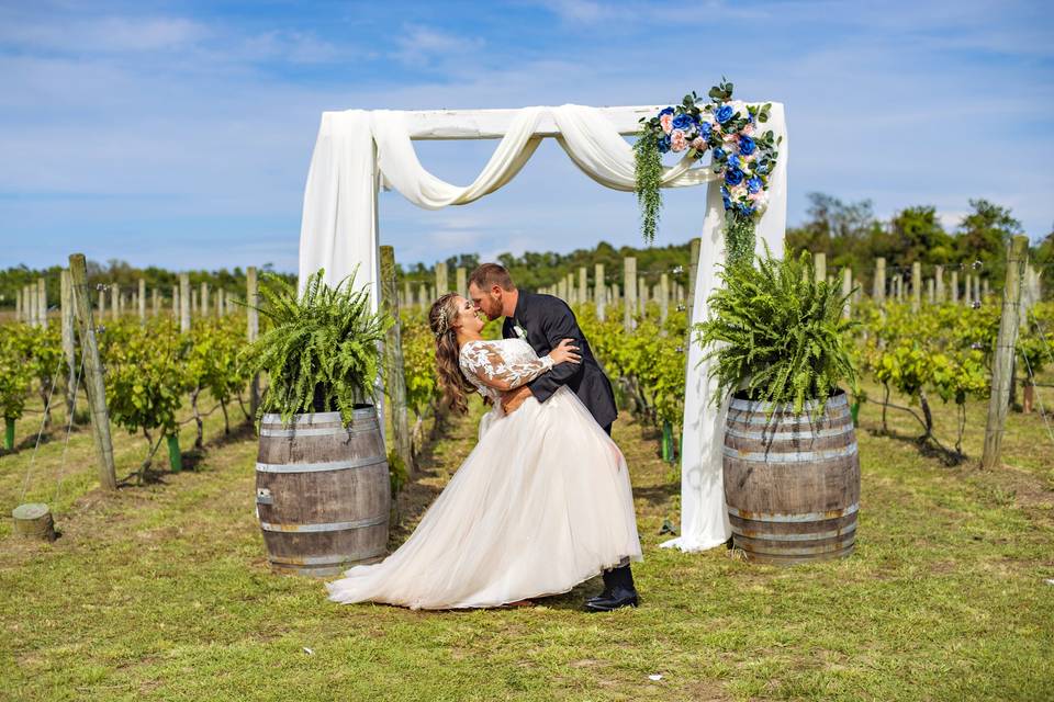 Sanctuary Vineyards