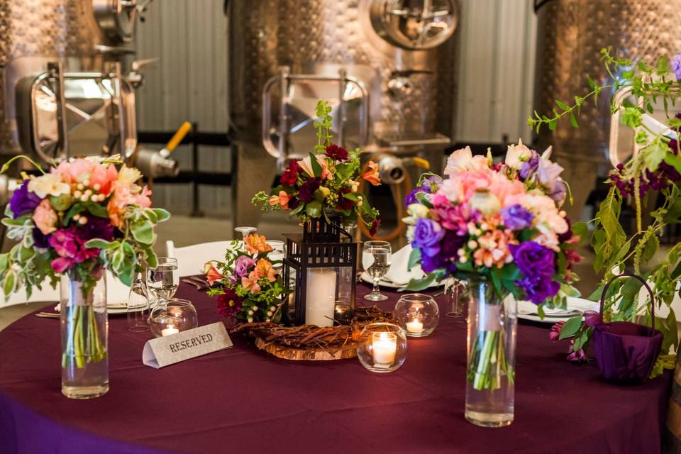 Sanctuary Vineyards