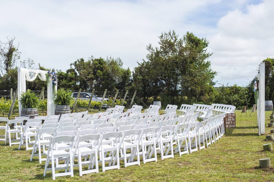 Sanctuary Vineyards