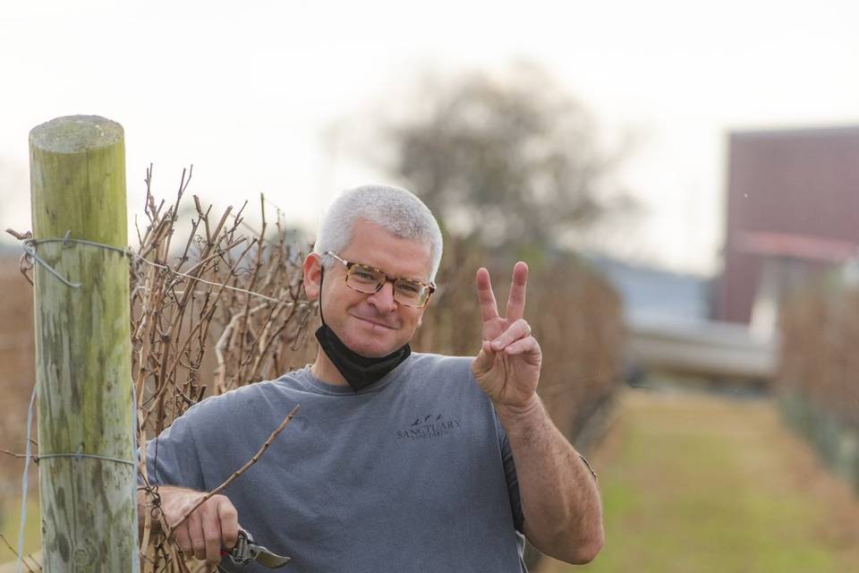 Sanctuary Vineyards