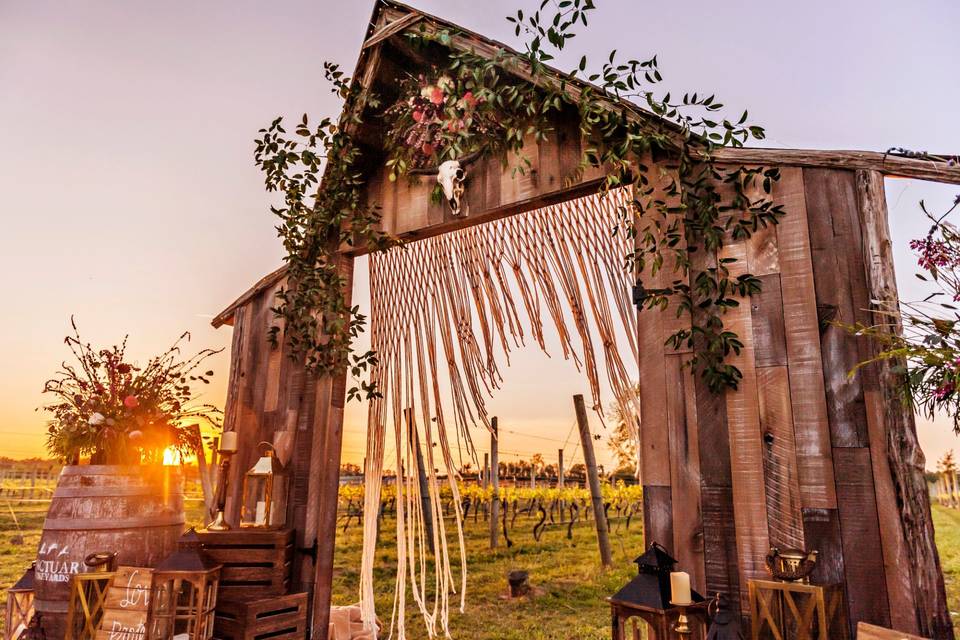 Sanctuary Vineyards