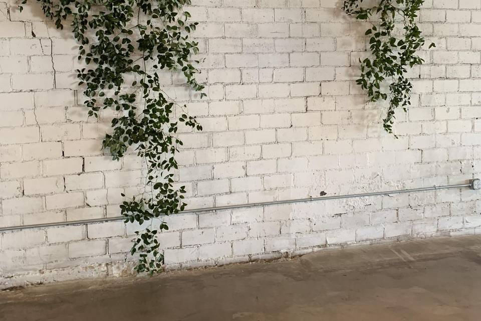 Wall greenery