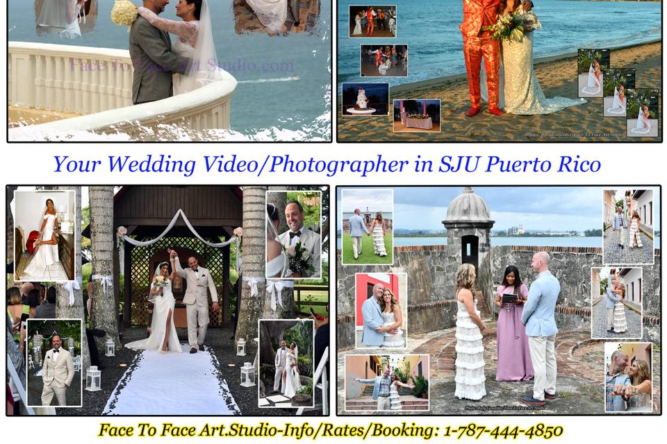 More Photos/Video?See Website