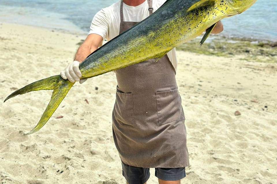 Fresh, Local Mahi Mahi