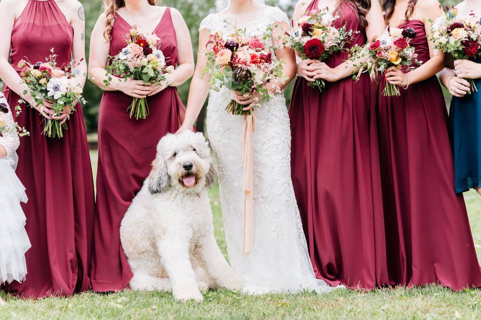 Wedding party and furry friend