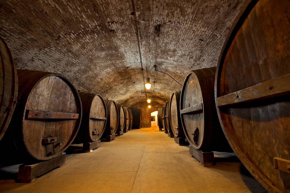 Underground Wine Cellars