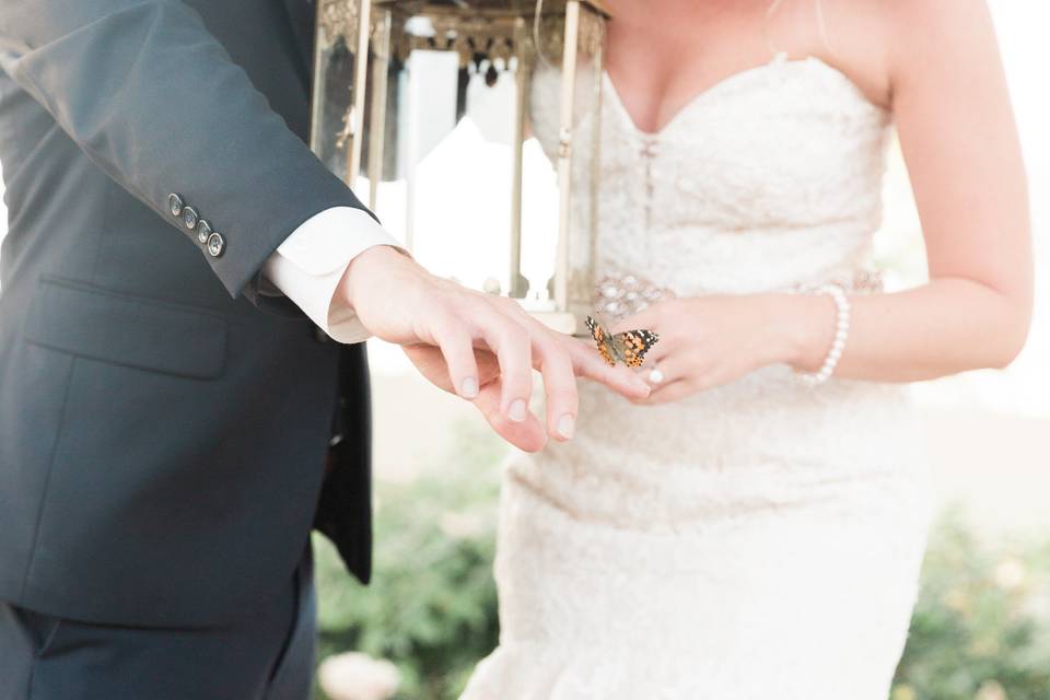 Butterfly release