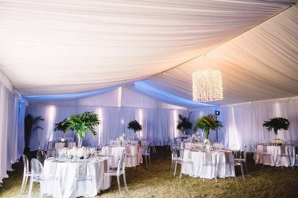 Liner w/clear chairs