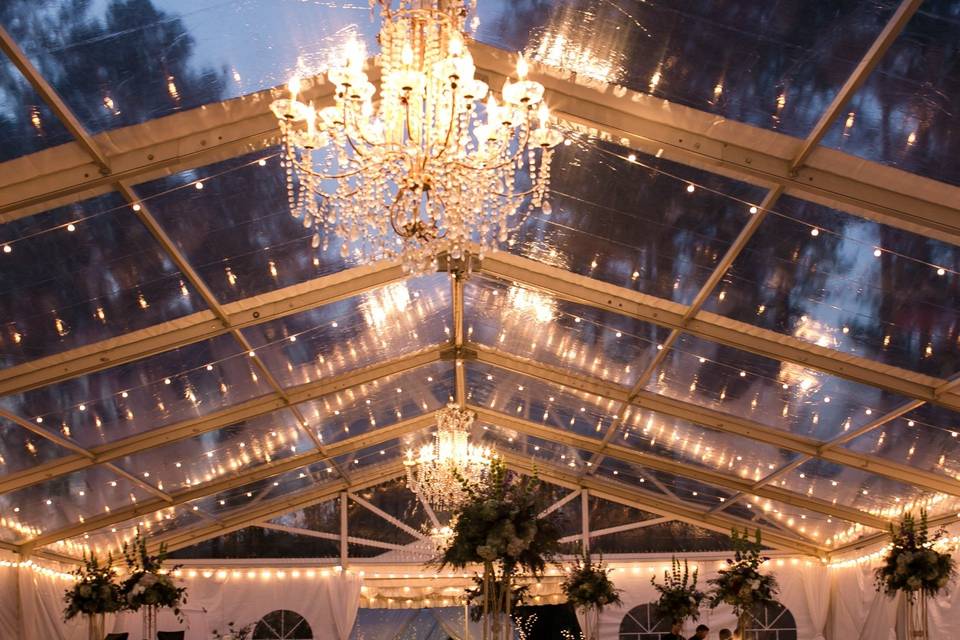 Clear Top Structure Tent